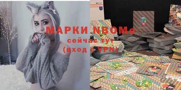 соль ск Гусиноозёрск